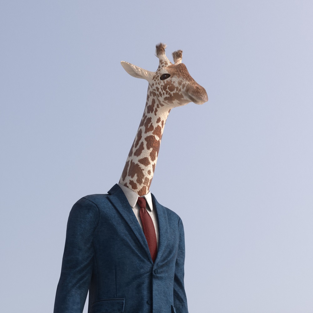 Asertywność managera